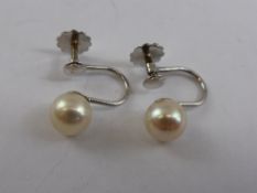 Lady`s 9ct White Gold Pearl Earrings, in the original box.