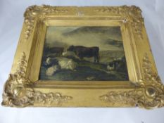 Oil on board depicting cattle and sheep in a decorated gilt frame, approx. 21 x 16 cms.