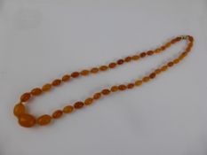 String of Antique Butterscotch Graduated Amber Beads, approx. 53 cms. centre bead 0.8 x 1.8 cms.