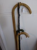 A Collection of Miscellaneous Walking Sticks.