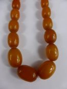 A Set of Graduated Butterscotch Amber Beads, the central beads measures approx 2 x 1 cms, approx 45