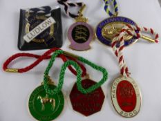 Ten  "" Millenium "" ( 2000 membership year ) metal racecourse members racecourse badges - Haydock,