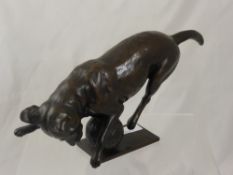 A Bronze Sculpture of a Playful Labrador, signed Newton nr 1 of 9, dated 1995.