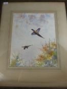 Original watercolour on paper depicting  pheasants in flight, signed Richard Harrison, framed and