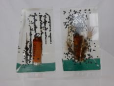 Two Purdeys of London Perspex Book Ends, the bookends with cartridge cases, pellets and feathers.