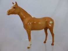 A Beswick Study of a Palomino, glossy finish 23 cms long x 21 cms high.