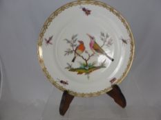 A Coalport Cabinet Plate, hand painted with exotic birds and insects.