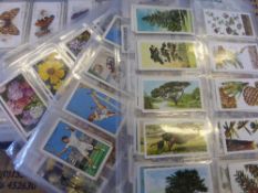 A Collections of Miscellaneous Cigarette Cards and Tea Cards in polythene presentation, including