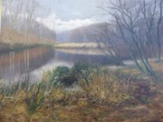 Oil on Board, depicting a `Tranquil Lake`, approx  81 x 62 cms, unframed, signed bottom right (