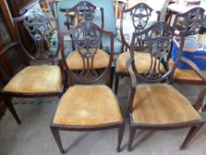 A set of six Hepplewhite style dining chairs including two carvers, the chairs having shield backs