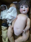 A Miscellaneous Collection of Bisque Headed Dolls including a Heubach Koppeldorf talking doll with