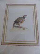 Two hand coloured plates depicting a quail and a grouse, framed and glazed, approx. 13 x 17 cms. (