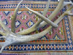 A pair of large antique antlers.