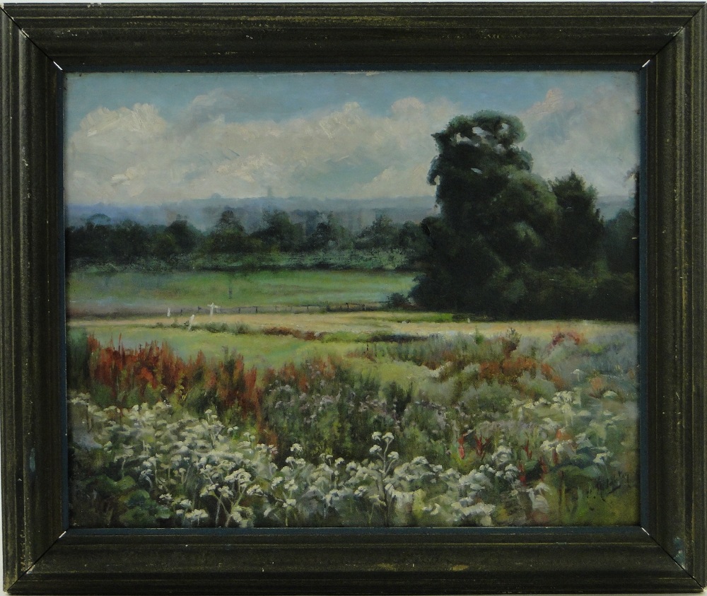 K Middleton
oil on canvas, extensive landscape, indistinctly signed, 14" x 17.5", framed.