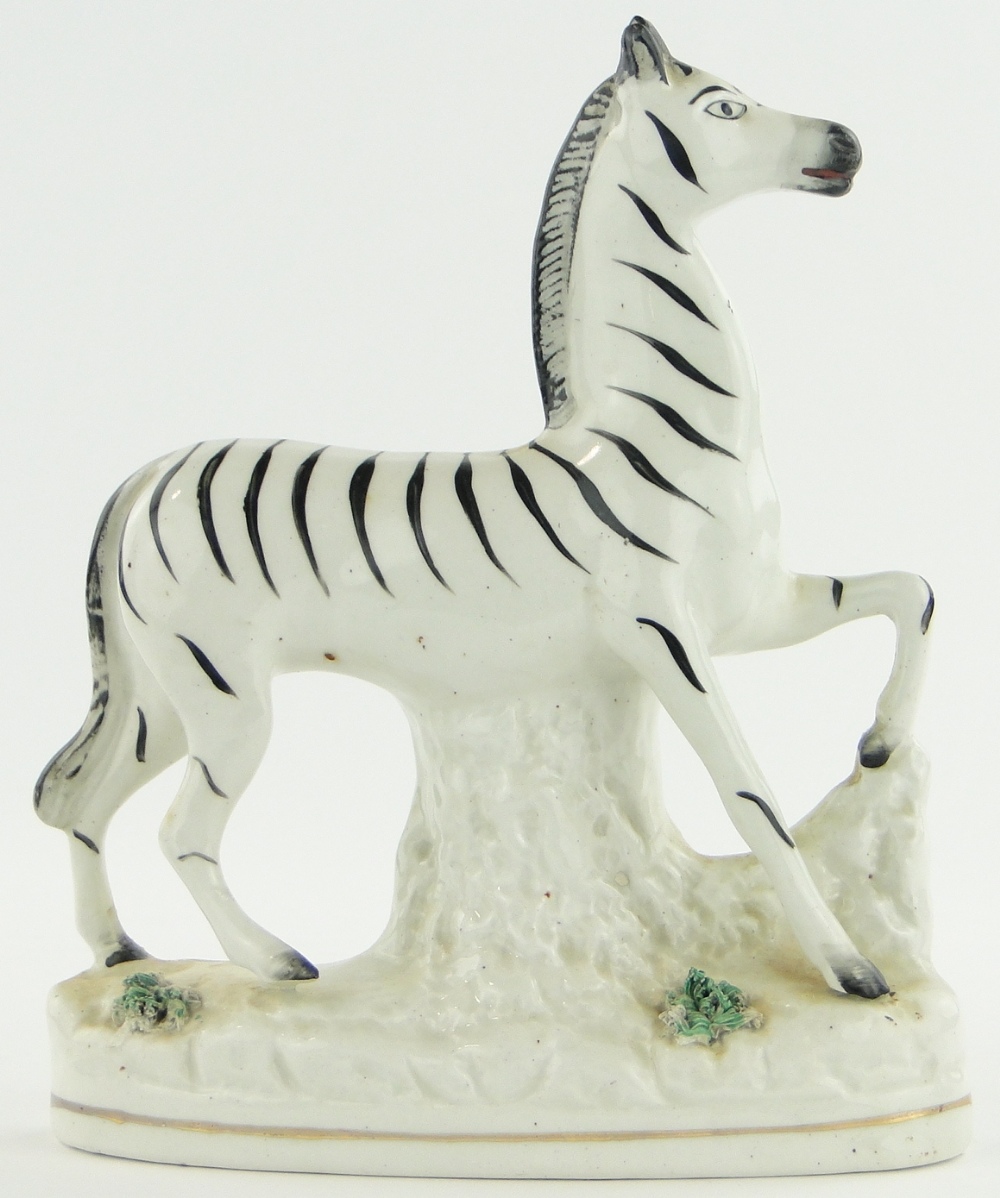 A Victorian Staffordshire pottery zebra, 8.5".