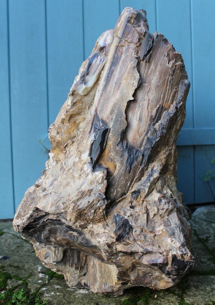 Petrified wood - A large specimen of opalised fossil wood from Australia 21ins x 19ins x 11ins