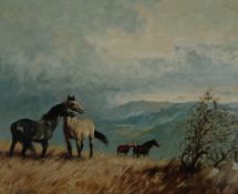 W.R. JENNINGS (20TH CENTURY) OIL PAINTING ON CANVAS Wild horses in a hilly landscape Signed