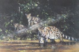 DAVID SHEPHERD (B.1931) ARTIST SIGNED COLOUR PRINT ""Clouded Leopard and Cubs"" Signed 666/950 16""