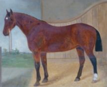 UNATTRIBUTED (TWENTIETH CENTURY BRITISH SCHOOL) OIL PAINTING ON BOARD Study of a bay horse in a