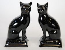 PAIR OF VICTORIAN BLACK GLAZED TERRACOTTA BODIED MODEL CATS,  with white enamel eyes and gilt, 7 1/