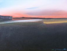 M. STYNES OIL PAINTING ON CANVAS BOARD Coast scene at sunset Signed and dated (20)`09 9"" x 11 1/