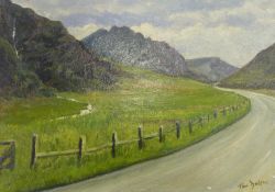 TOM DODSON TWO OIL PAINTINGS ON BOARD `Snowdonia Road` Signed, titled verso 10"" x 14"" (25.5 x 35.