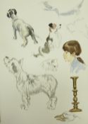 TOM DODSON TWO SKETCH BOOKS WITH PENCIL DRAWINGS AND WATERCOLOURS with some loose leaves, animals,