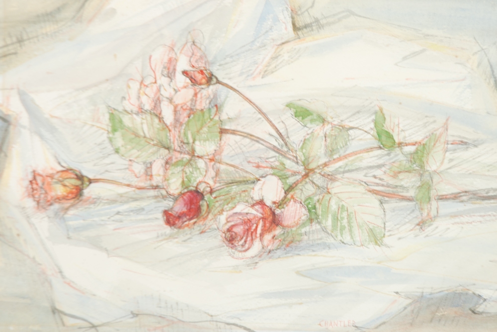 CHANTLER (modern) PEN AND INK AND WATERCOLOUR Study of roses Signed lower right 9 3/4" x 14 1/4" (