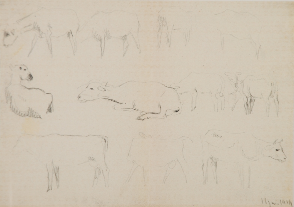 ADOLPHE VALETTE (1876 - 1942) PENCIL DRAWING Studies of sheep and cows dated lower right `16 Juin