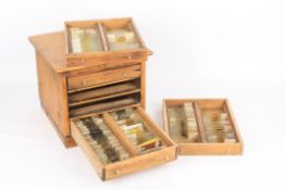 A collection of prepared microscope slides, approximately 100 prepared specimen slides some with