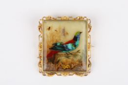 A 19th century square Victorian brooch set with bird and insects, with gold coloured metal frame