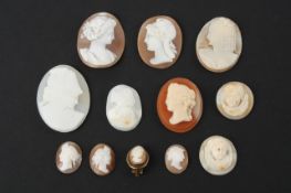 An interesting collection of twelve cameos, mainly classical heads, all unmounted, the largest 4.5cm