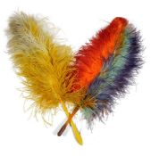 Two 1920s ostrich feather fans, one with rainbow colours, the other with yellow and white colours.