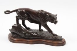 Gill Parker (born 1957) British A bronze sculpture of a cougar, in walking pose and supported on a