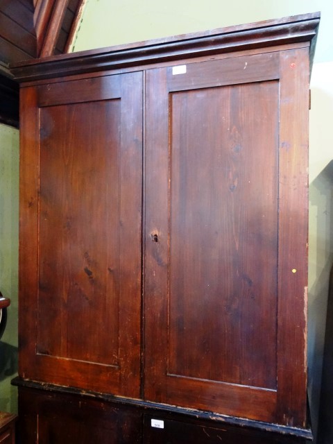 A 19th century stained pine cupboard, the rectangular moulded edged top over a pair of doors