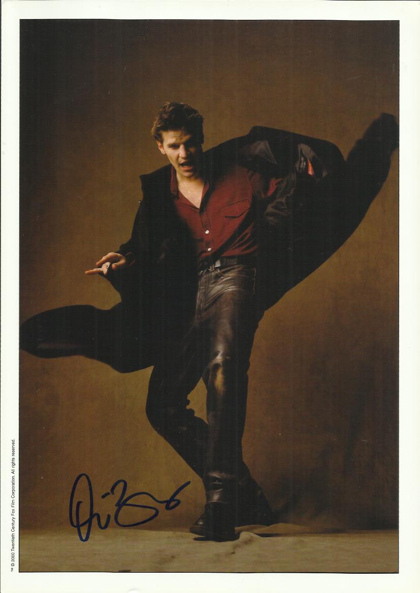 David Boreanaz autographed colour 8x12 photograph. Best known for Buffy and Angel. Good condition