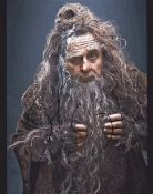 Sylvester McCoy as Radagast the Wizard Signed 8x10 Photo from the Hobbit Trilogy-. Good Condition
