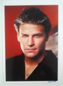 David Boreanaz autographed large photograph. Condition