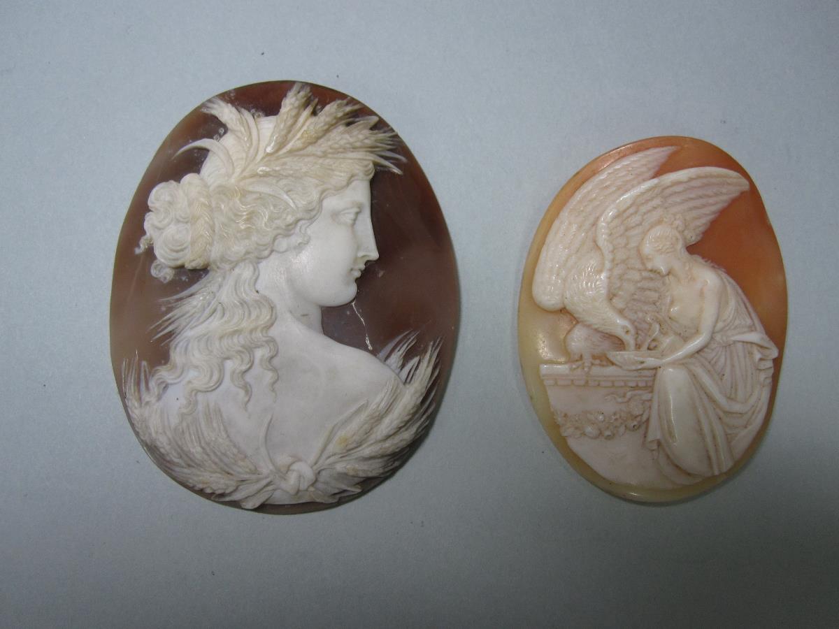 Two loose shell cameos, the first depicting Ceres with barley and wheat ears around her shoulders - Image 4 of 5