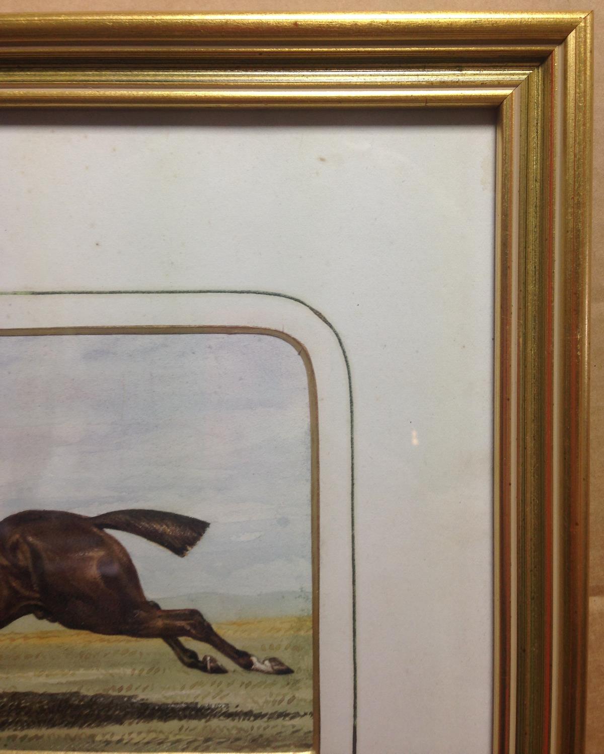 English School (late 19th Century)  Studies of two bay racehorses, one jockey in yellow silks, one - Image 6 of 9