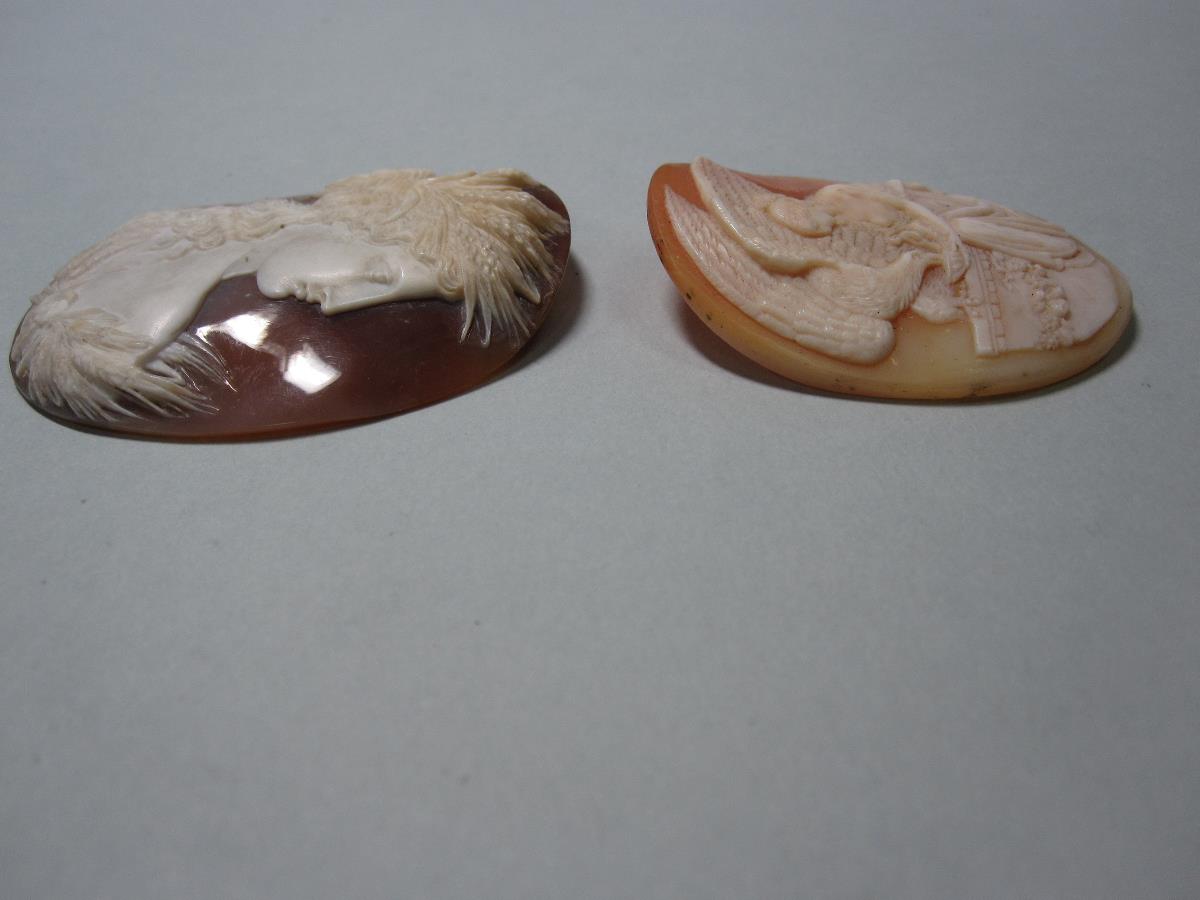 Two loose shell cameos, the first depicting Ceres with barley and wheat ears around her shoulders