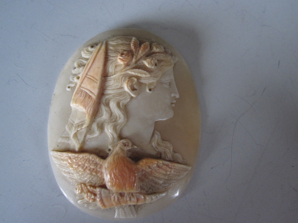 A loose cameo shell depicting Aphrodite with her dove, the finely carved oval cameo with the bust