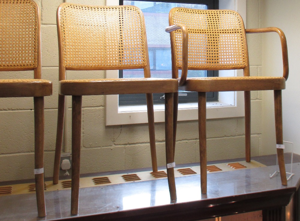 A set of bamboo Framed chairs, with caned back and seats including two elbow chairs (9)