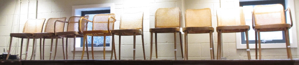 A set of bamboo Framed chairs, with caned back and seats including two elbow chairs (9) - Image 2 of 4