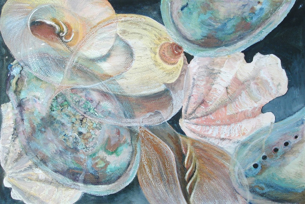 Modern British School (20th Century)  Seashells watercolour and oil pastels 53 x 36cm (21 x 14in)