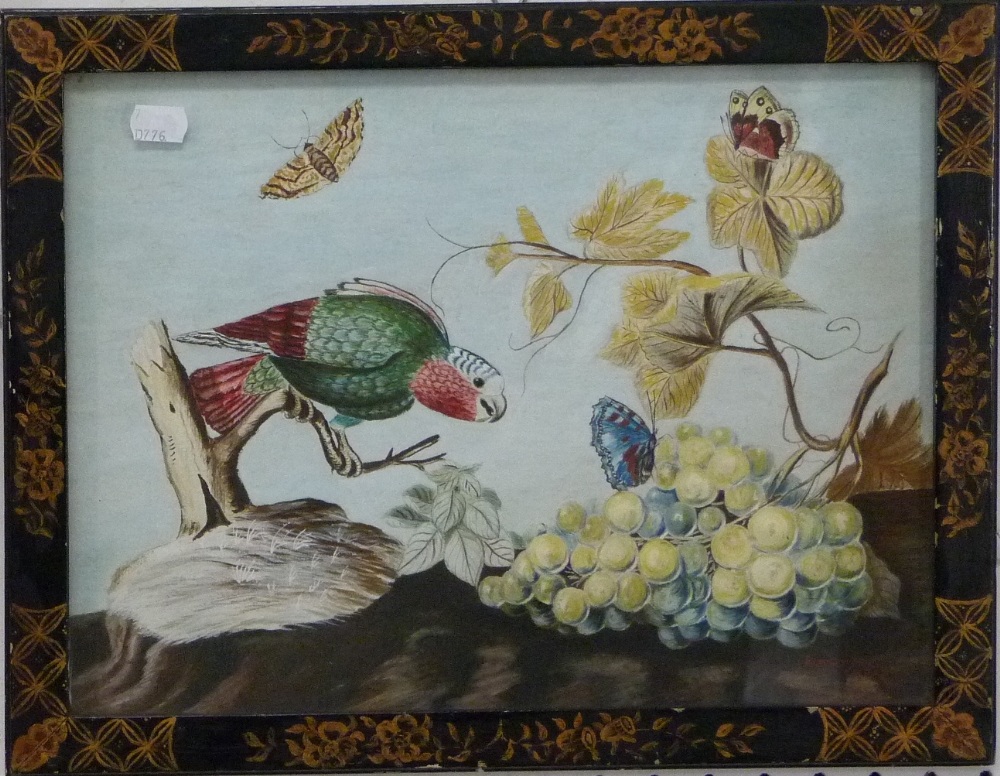 Robert Morris The Grey Headed Parrot with Grapes watercolour on relief embossed paper, signed bears