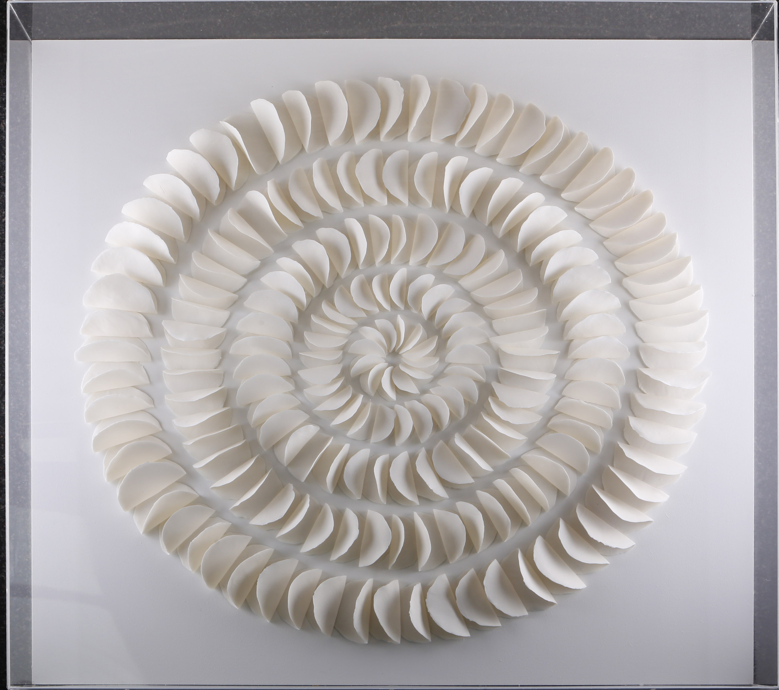 Valeria Nascimento (Brasil, 1962), Segment, 2008, and ivory porcelain sculptural group on board,