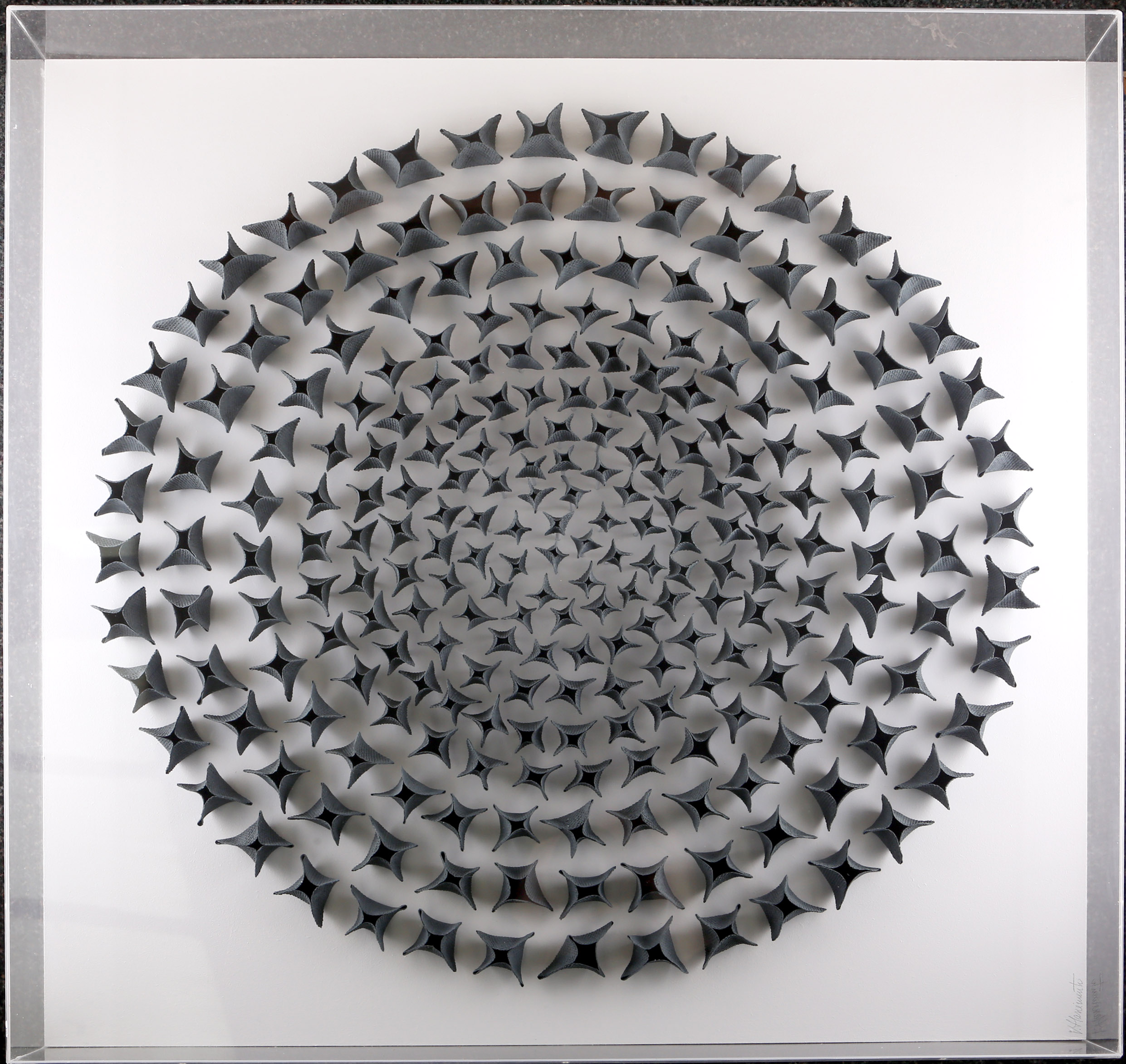 Valeria Nascimento (Brasil, 1962), Black Flowers, 2009, grey porcelain sculptural group on board,