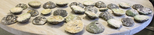 A collection of thirty-two circular stones of varying sizes, some containing fossilised starfish; - Image 2 of 2