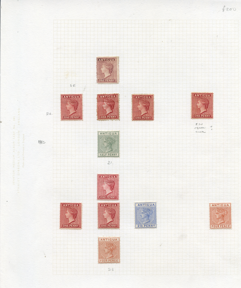 BRITISH COMMONWEALTH M ranges on leaves from Antigua QV-KGVI, Dominica QV-KGVI, British Solomon 1s